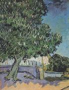 Vincent Van Gogh Chestnut Tree in Blossom (nn04) oil painting reproduction